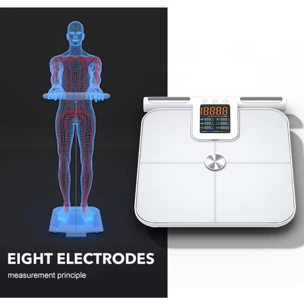 Báscula inteligente de grasa c - Body Fat Scale Smart reseña y precio