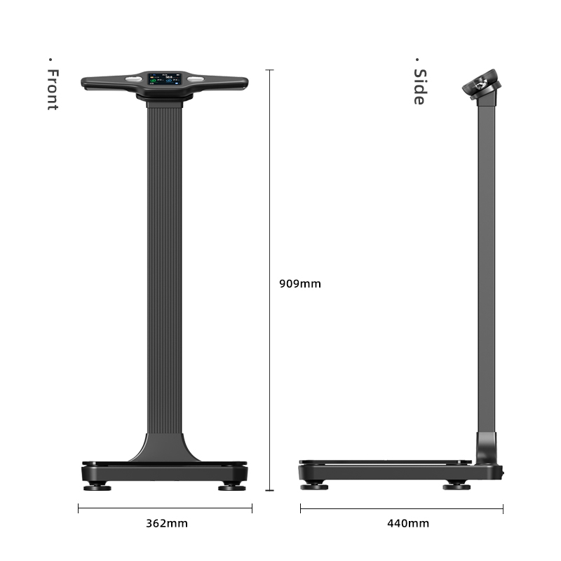 Nueva báscula de grasa corpora - Body Fat Scale Smart reseña y precio